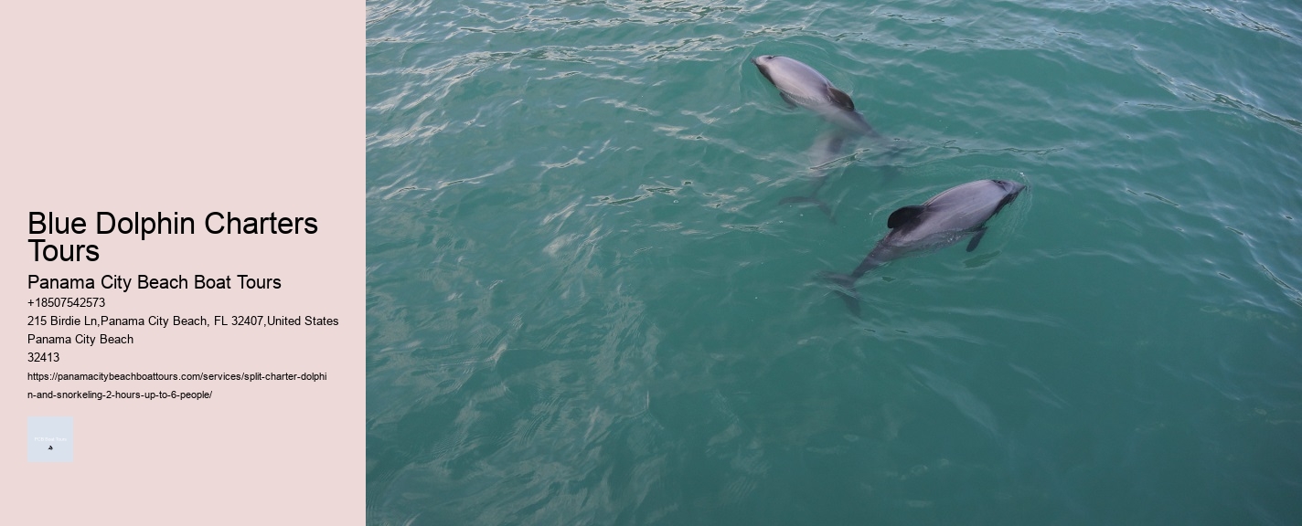 Blue Dolphin Charters Tours