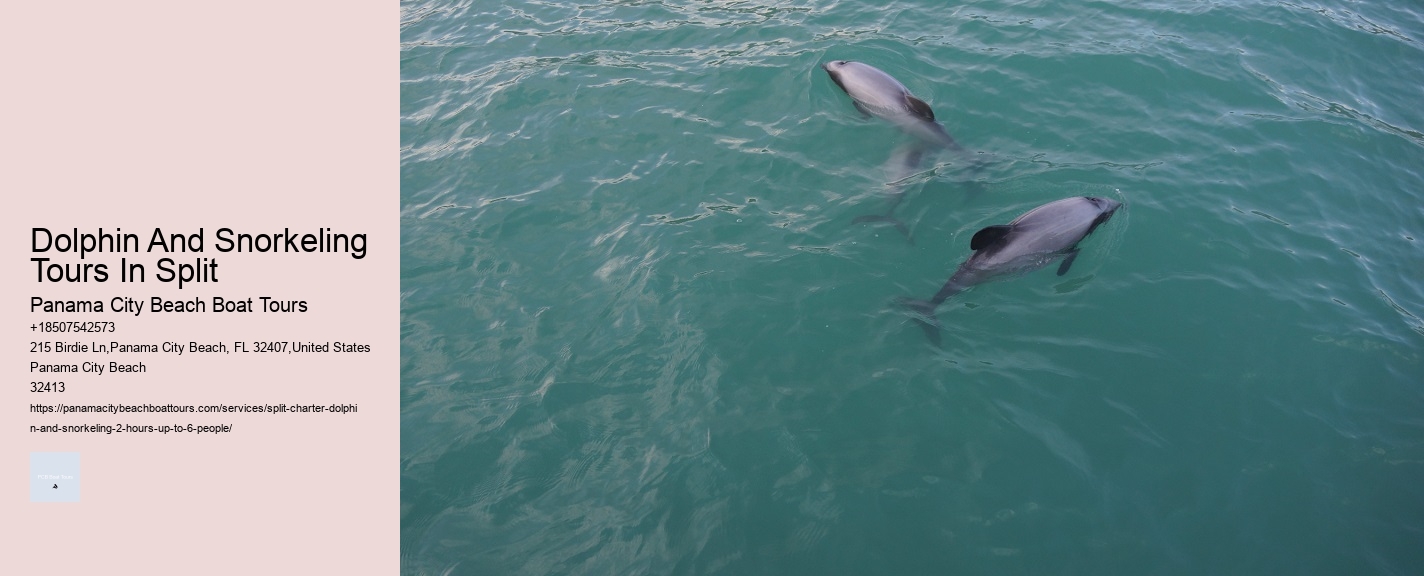 Dolphin And Snorkeling Tours In Split