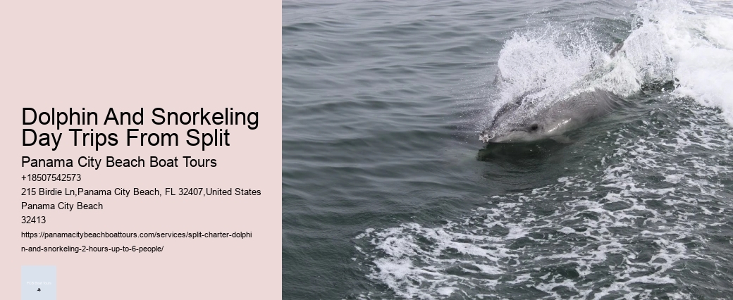 What To Wear During A Whale Watching Tour