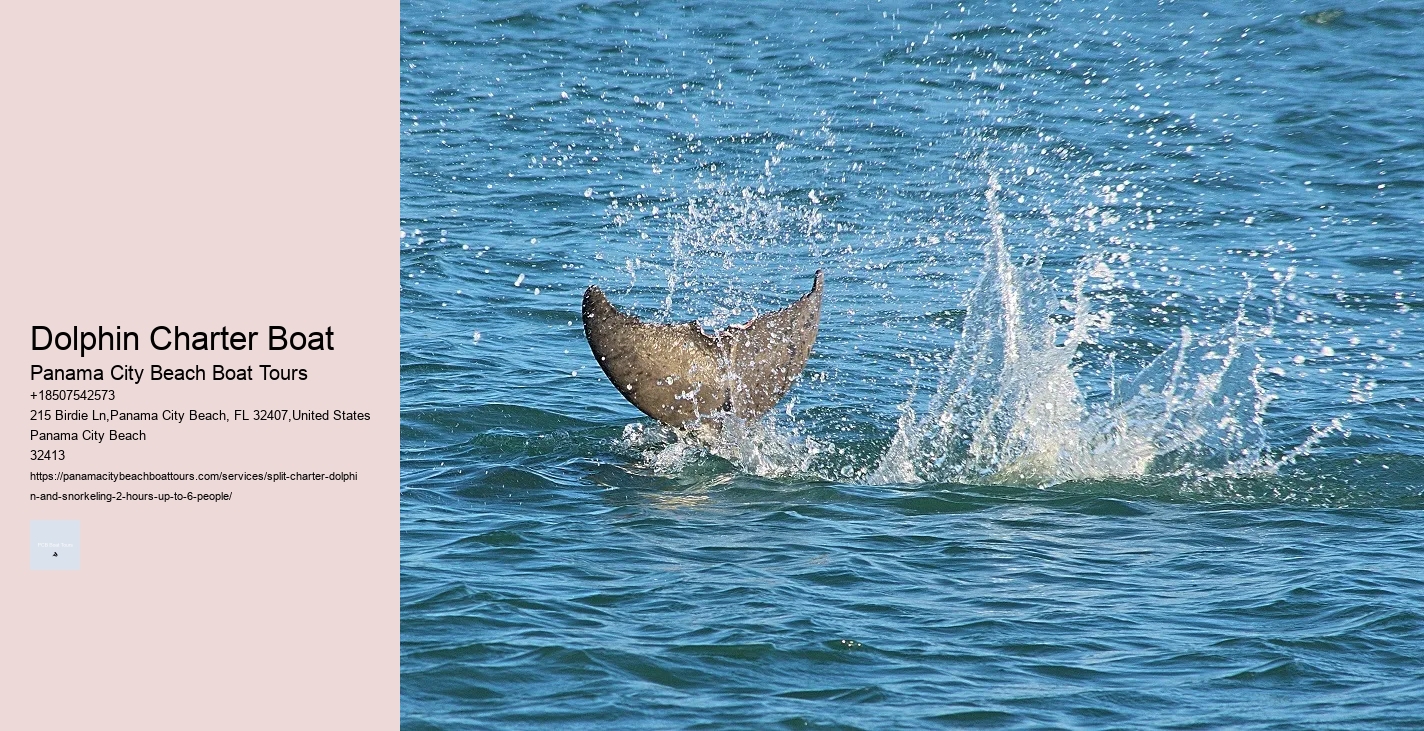 Split Boat Trips For Dolphin Watching And Snorkeling