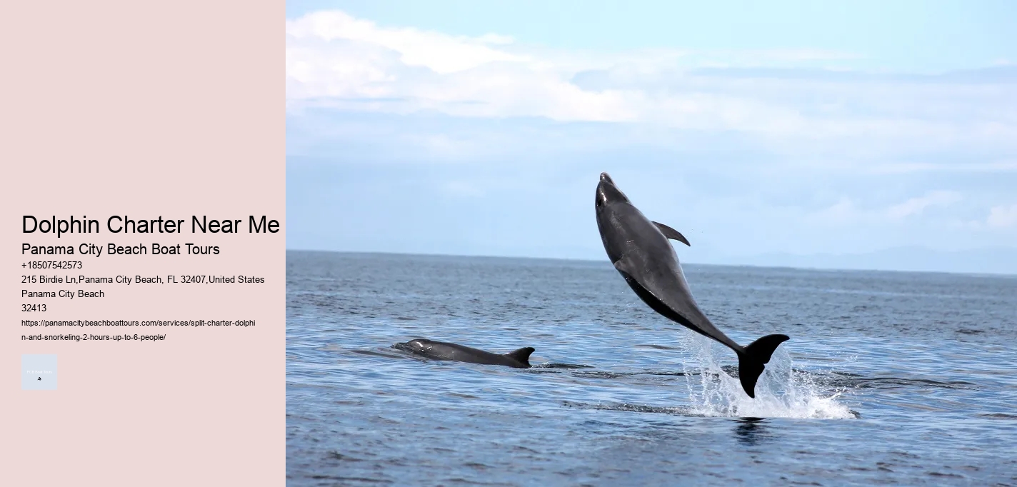 Dolphin Charter Near Me