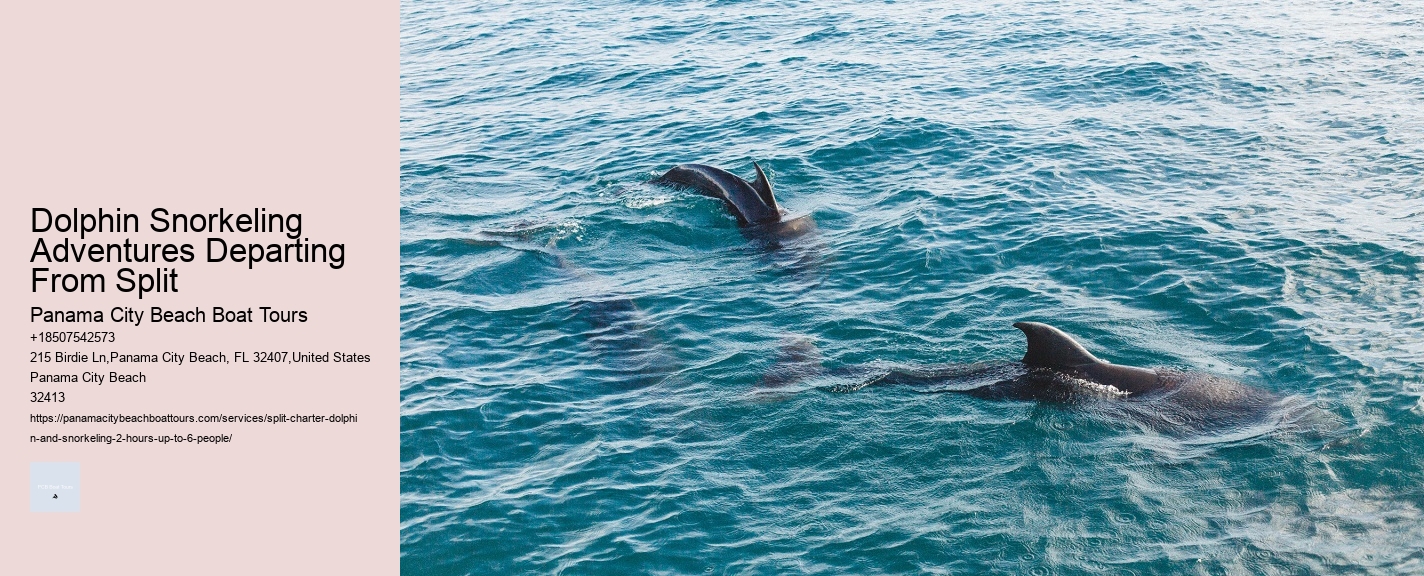Dolphin Snorkeling Adventures Departing From Split