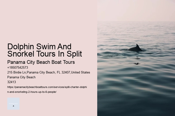 Dolphin Swim And Snorkel Tours In Split