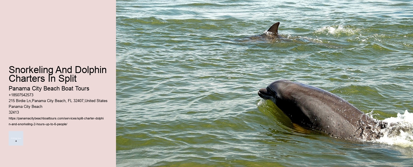 Snorkeling And Dolphin Charters In Split