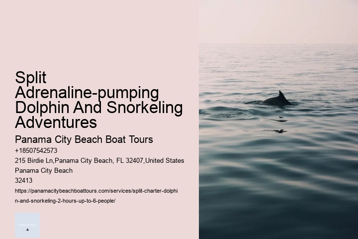 Split Customized Snorkeling And Dolphin Itineraries