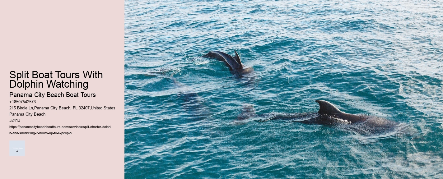 Split Boat Tours With Dolphin Watching