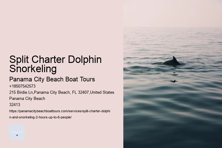 Split Charter Dolphin Snorkeling