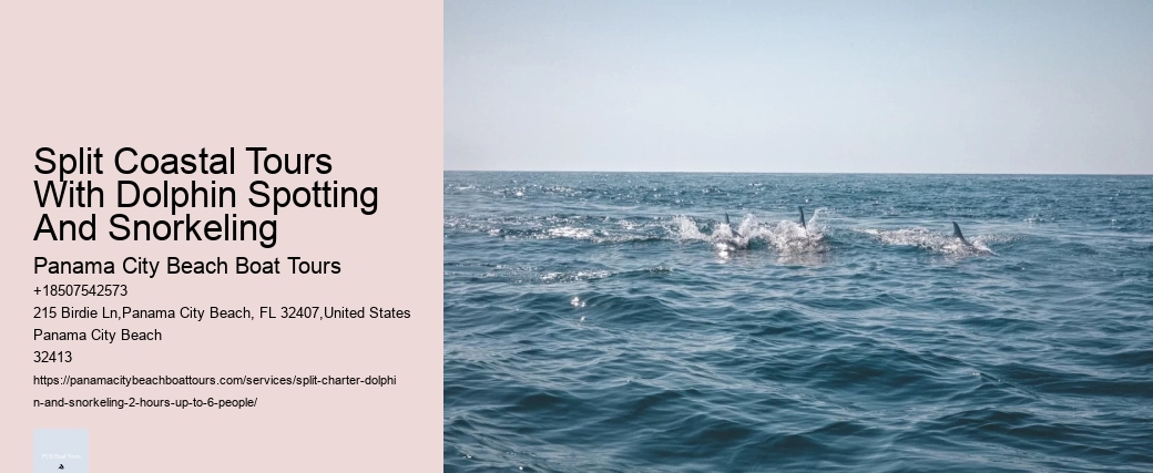 Split Coastal Tours With Dolphin Spotting And Snorkeling