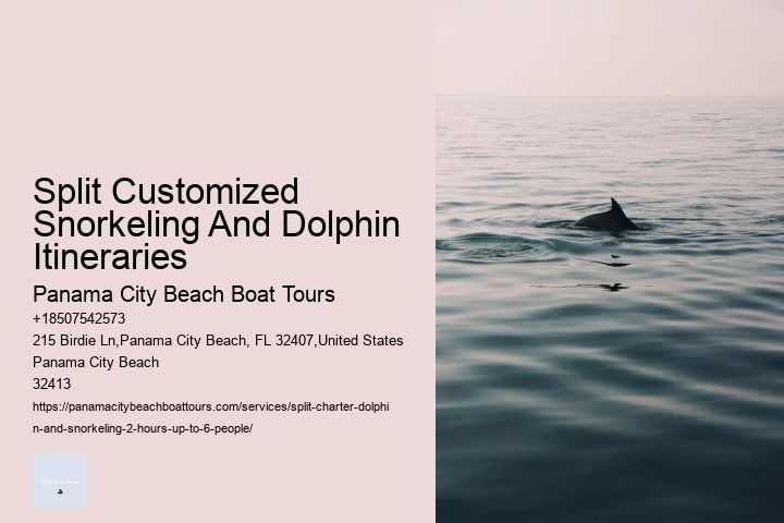 Split Customized Snorkeling And Dolphin Itineraries