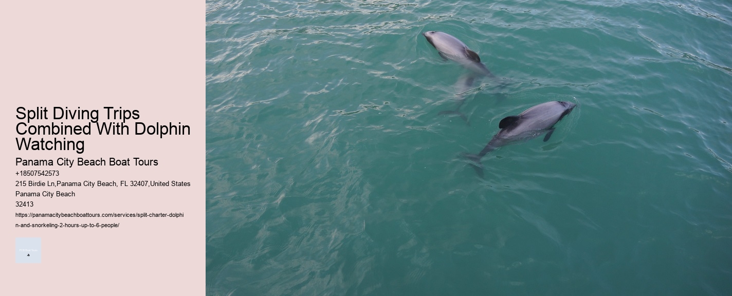 Do Dolphins Really Save Humans