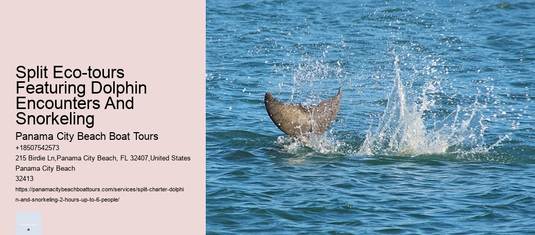 Split Eco-tours Featuring Dolphin Encounters And Snorkeling