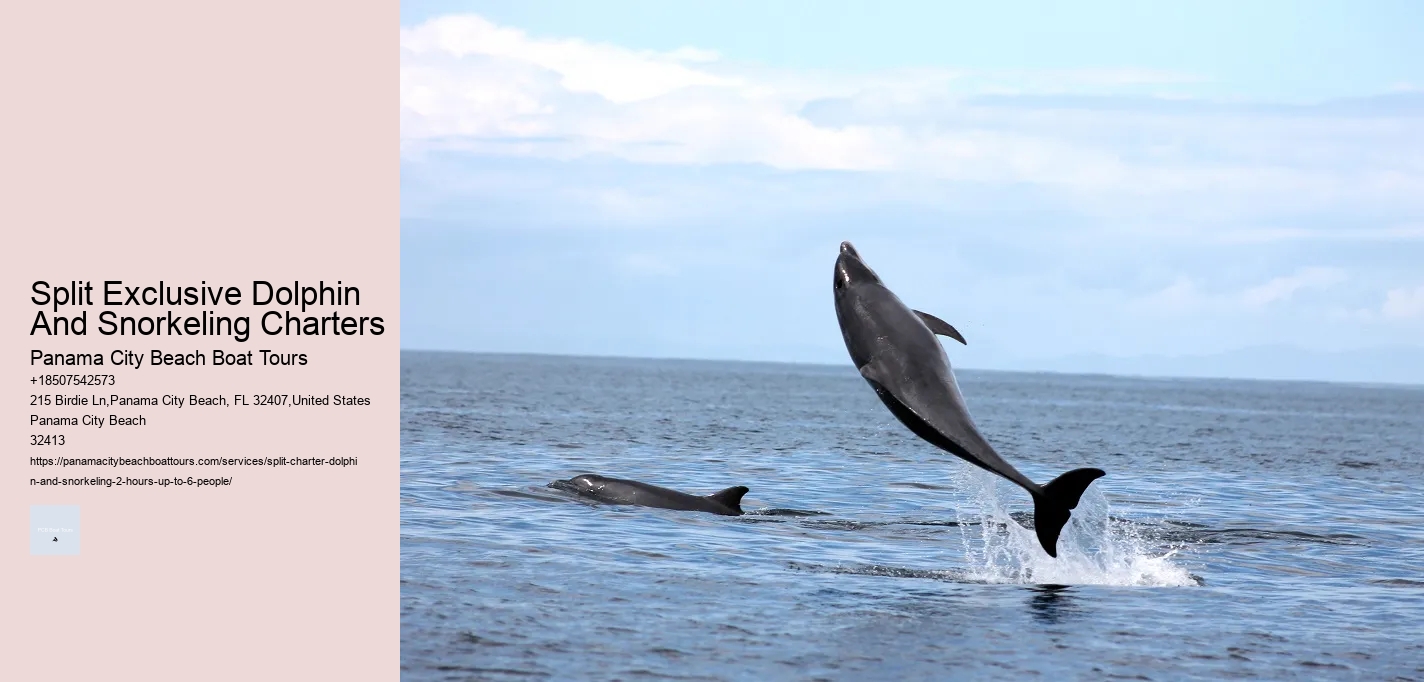 Split Exclusive Dolphin And Snorkeling Charters