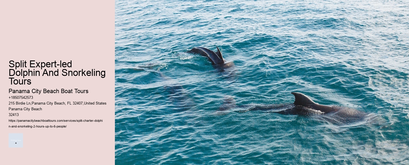 Split Expert-led Dolphin And Snorkeling Tours
