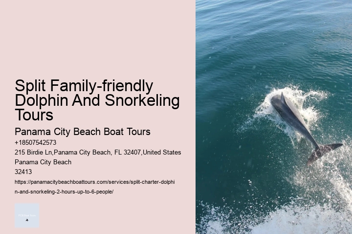 Split Thrilling Snorkeling And Dolphin Encounters