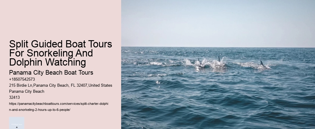 Split Guided Boat Tours For Snorkeling And Dolphin Watching