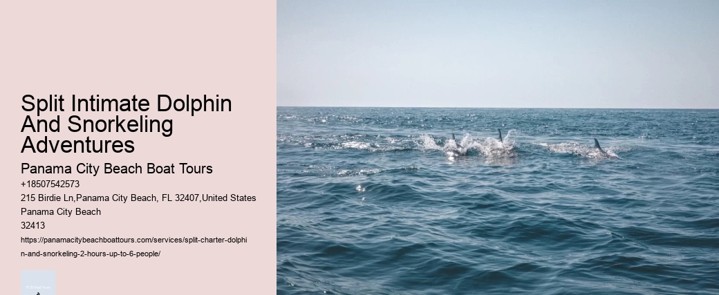 Split Intimate Dolphin And Snorkeling Adventures