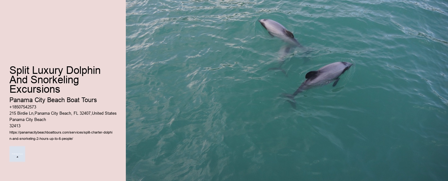 Dolphin Cruise Panama