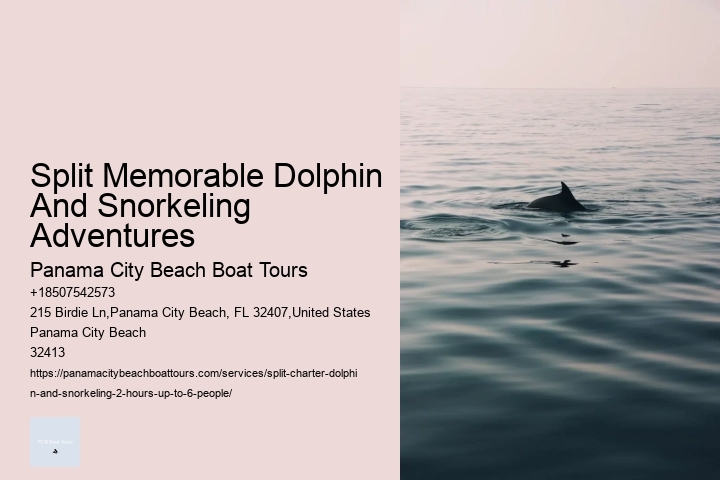 Why Can't You Swim With Dolphins On Your Period