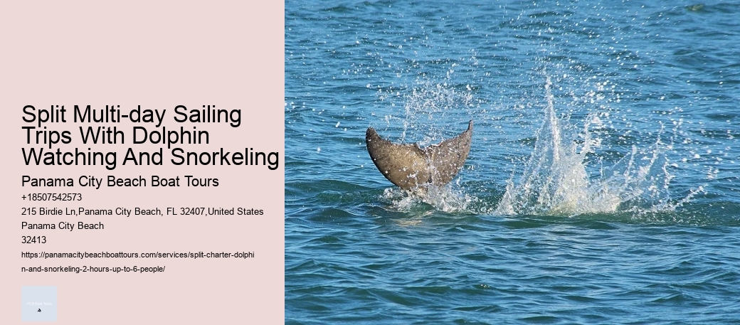 Split Multi-day Sailing Trips With Dolphin Watching And Snorkeling