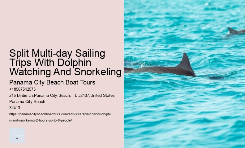 What You Need To Bring To The Florida Keys Dolphin Program