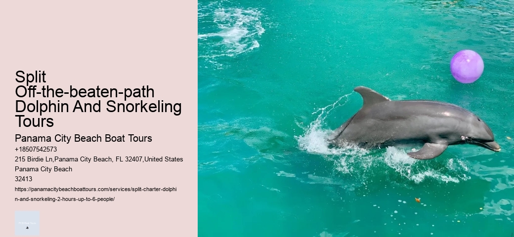 What Are The Negative Side Of Dolphins