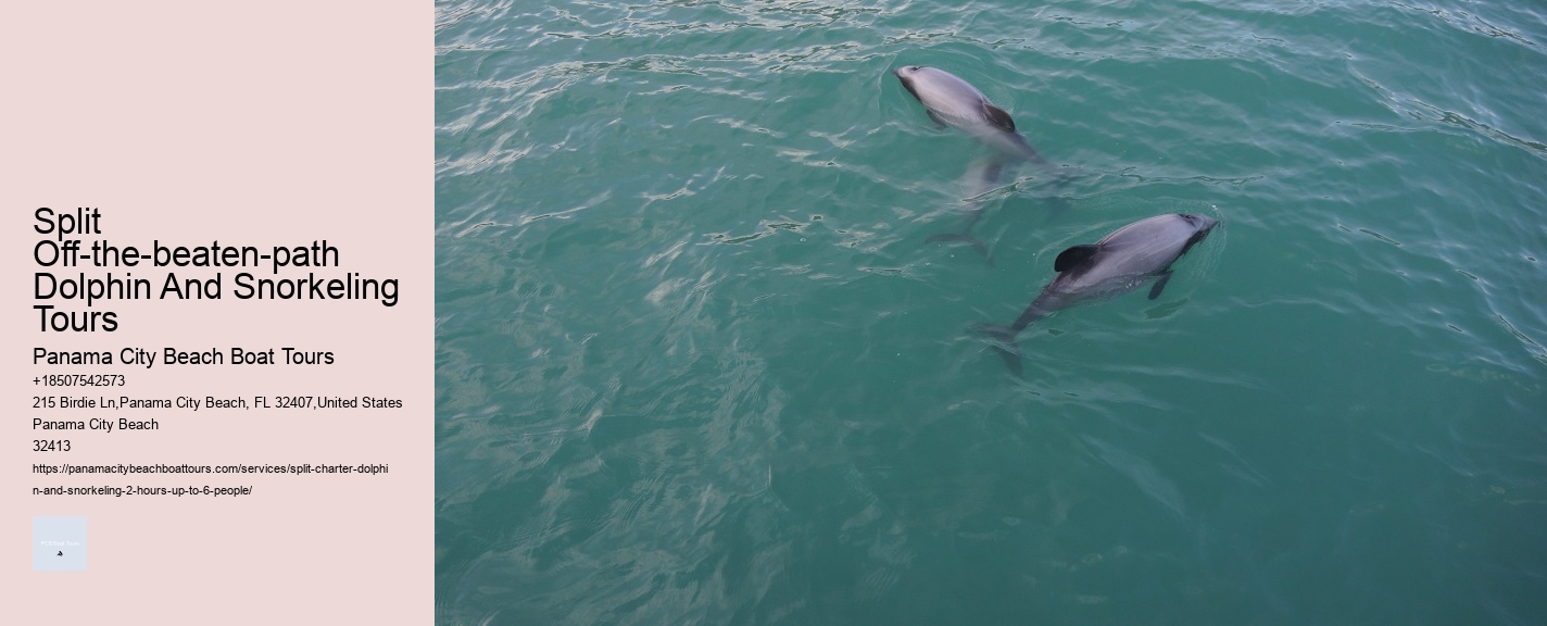 Split Off-the-beaten-path Dolphin And Snorkeling Tours
