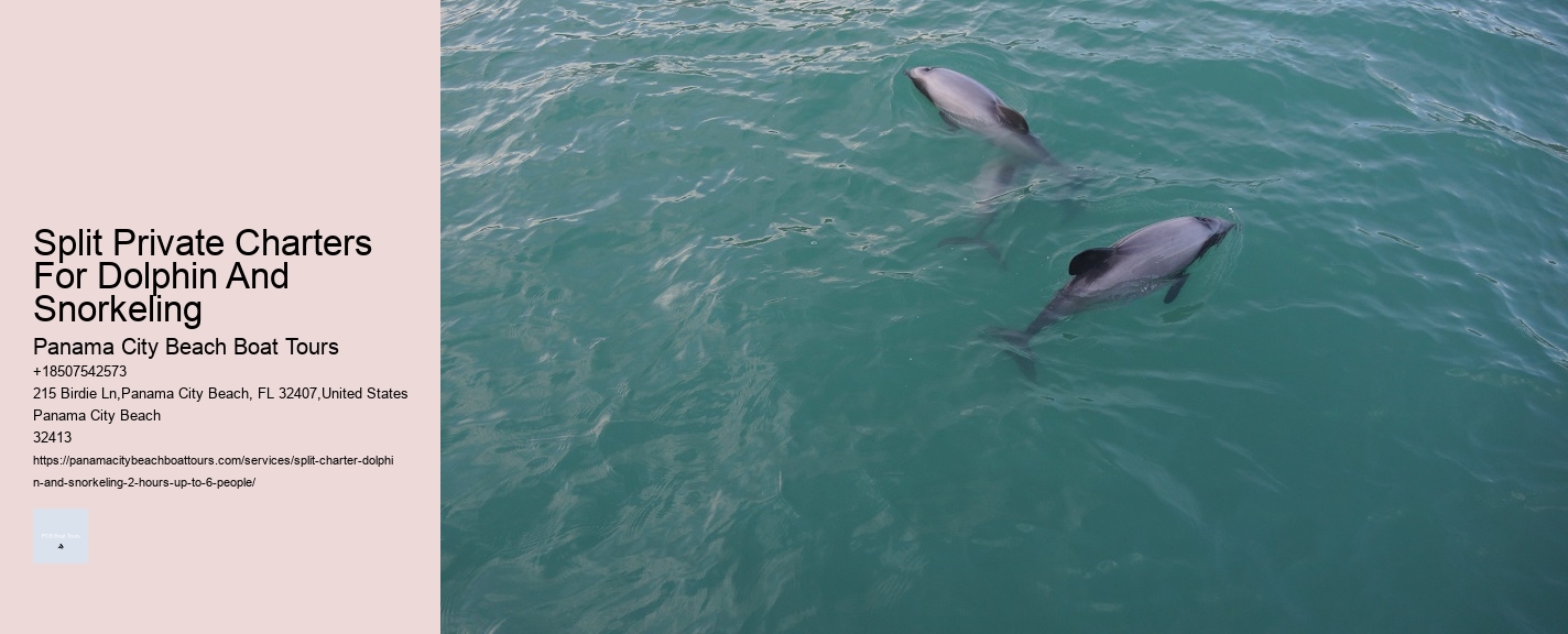 Split Private Charters For Dolphin And Snorkeling