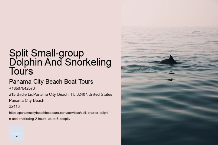 Split Small-group Dolphin And Snorkeling Tours