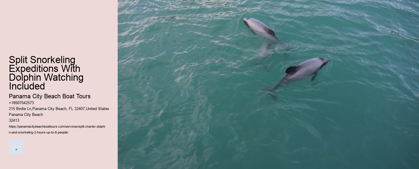 Split Snorkeling Expeditions With Dolphin Watching Included