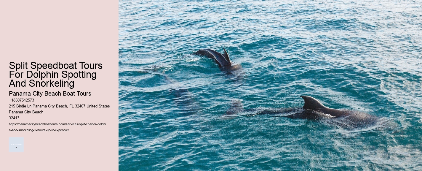Split Speedboat Tours For Dolphin Spotting And Snorkeling