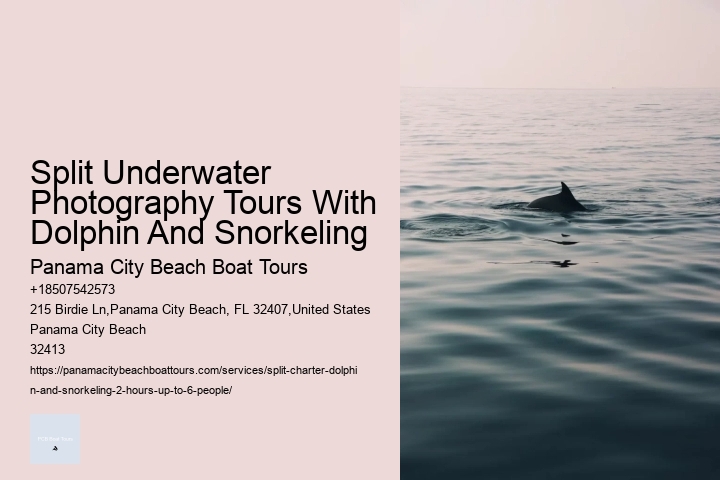 Split Underwater Photography Tours With Dolphin And Snorkeling