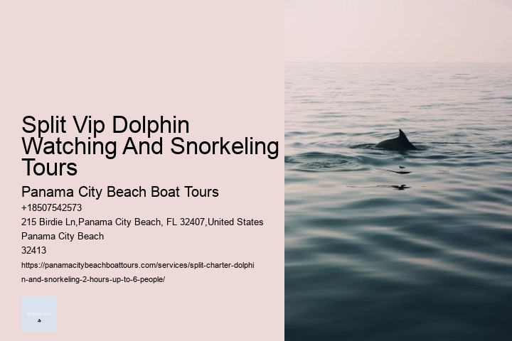 Split Vip Dolphin Watching And Snorkeling Tours